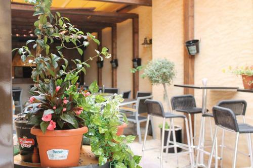 Hostal Ainoa