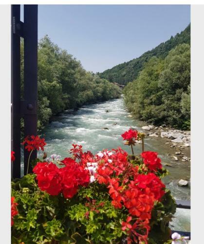 Apartamento Marilleva 1400 Tra Sport E Natura