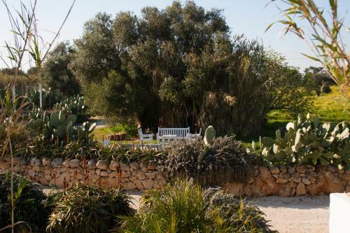 Agroturismo Masseria Cimino