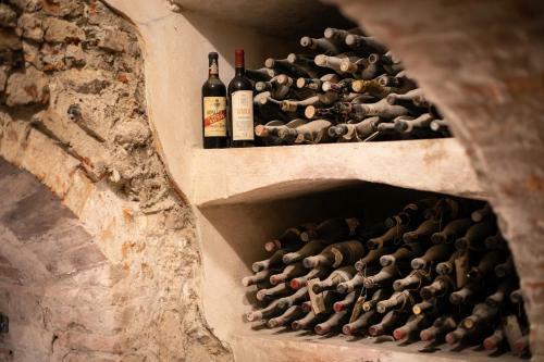 Villa Vinory - Tenuta Il Sogno