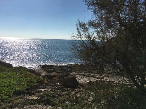 Casa Vicino Mare ( Sea Rocks Cottage)