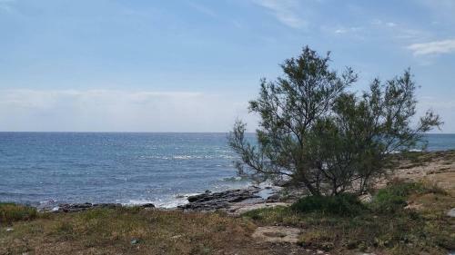 Casa Vicino Mare ( Sea Rocks Cottage)