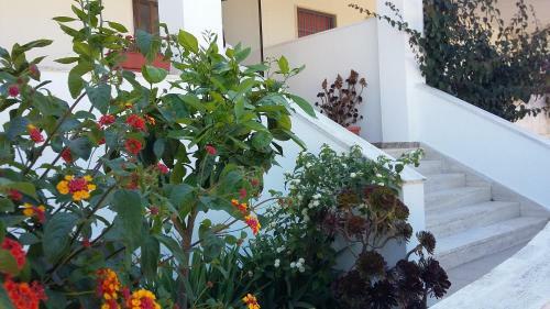 Alba Chiara - Villa Con Giardino