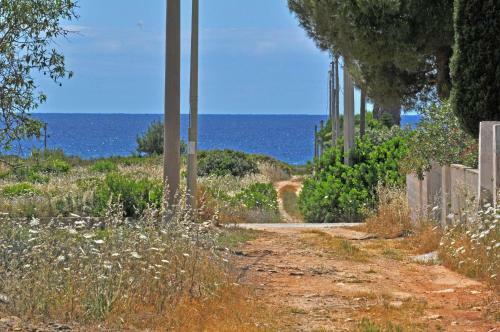 Villa Cotriero