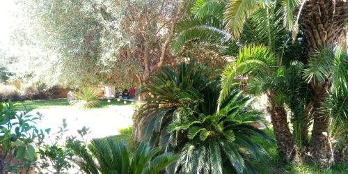 Apartamento Appartamento La Ruota