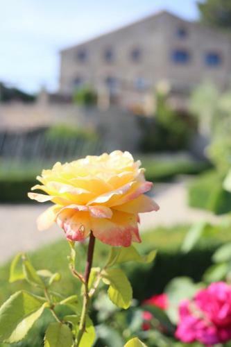 Hotel Hort De Fortunyo