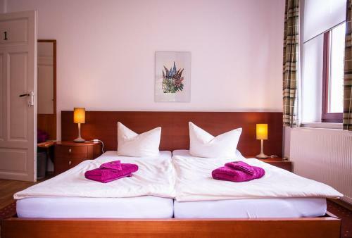 Hostal Pension An Der Pillnitzer Schlossf�hre