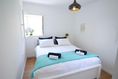 Fully Furnished Apartment - German Colony