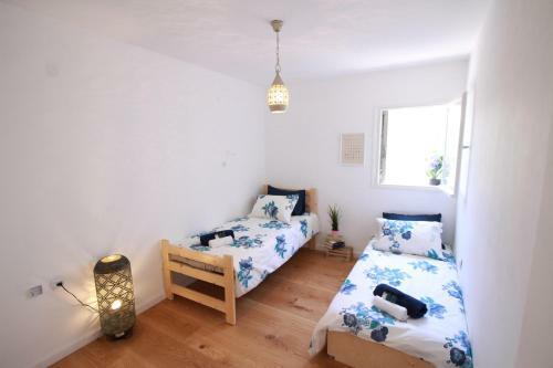 Fully Furnished Apartment - German Colony