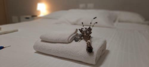 Hostal Bgy Airport House Grassobbio