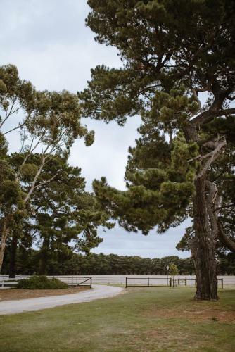 The Pines Barwon Heads