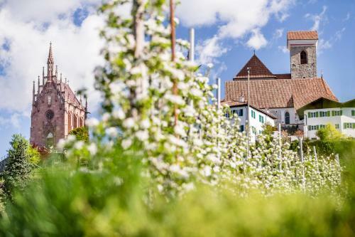 Apartamento Hilburgerhof
