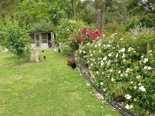 Villa Camawald Coonawarra Cottage B&B