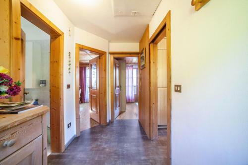 Hoferhof Apartement Bergspitze