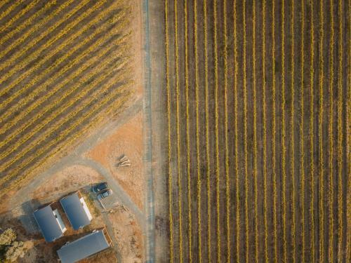 Apartamento Vineyard Views At Shiraz Republic