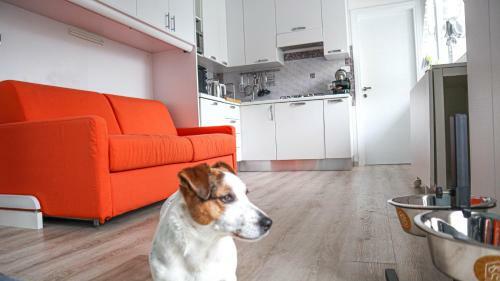 Apartamento La Casa Di Pamy