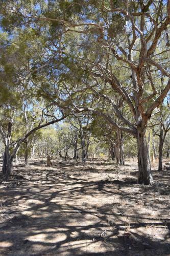 Ironbark House