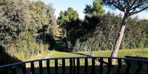 Apartamento Quadrilocale Glicine