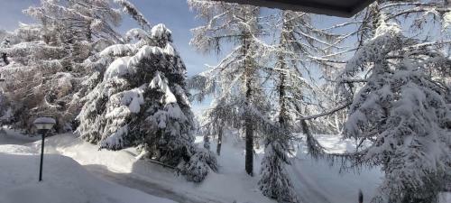 Apartamento Trento- Monte Bondone Appartamento Tipico Di Montagna,