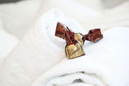 Hotel-garni Bergidyll