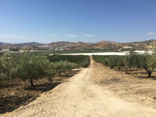 Agroturismo Tenuta de Francisci