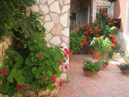 Bed & Breakfast Accuss�