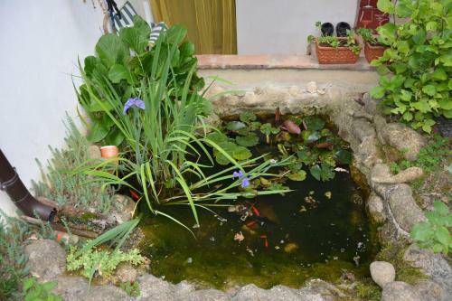 Hostal Stanze In Campagna Da Alberto