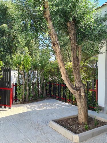 Villino Con Piscina Condominiale