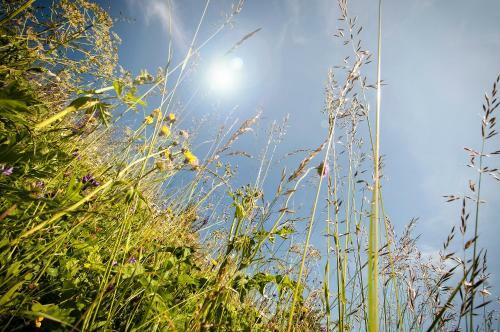 Garn� Aurora Bed And Breakfast
