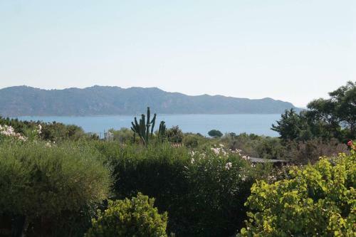 Villa Adele, Con Piscina A 700 Mt Dal Mare