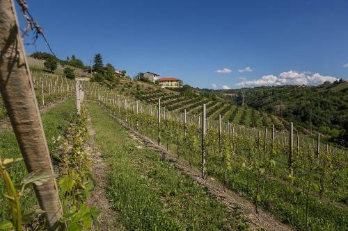Albergue Agriostello Delle Langhe