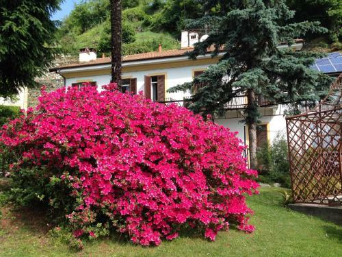 Apartamento Villa Ombrosa