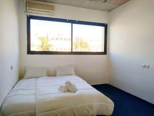 Hostal Bloomfield Guesthouse
