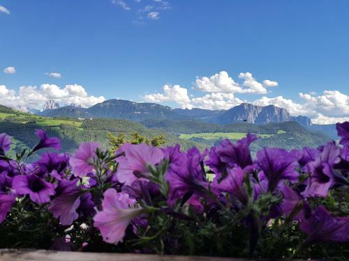 Apartamento Schweiggerhof