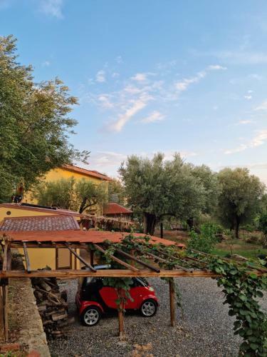 Casa Tra Mare E Oliveti