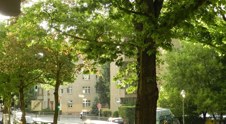Hostal Pension Friedrich-wilhelm