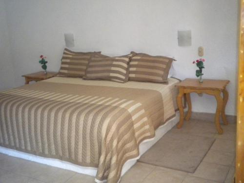 Hotel Ollin Teotl