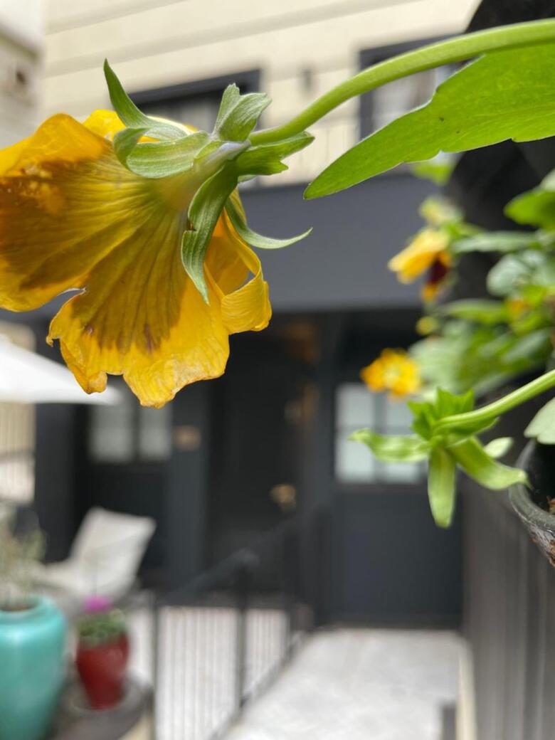 Hotel Villa Brown Tel-aviv