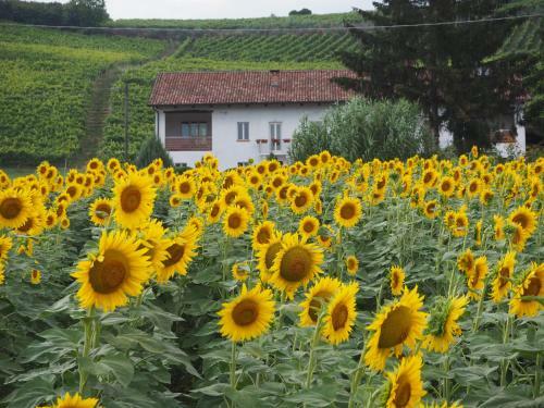 Bed & Breakfast Casa Del Roseto