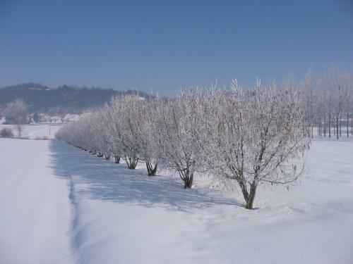 Bed & Breakfast Casa Del Roseto