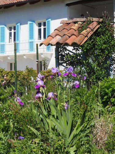Bed & Breakfast Casa Del Roseto