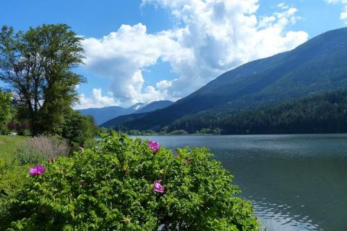 Apartamento Green Valley Altopiano Di Pin�