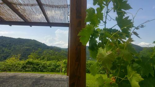 Agroturismo Yurte In Langa