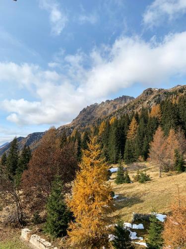 Apartamento Appartamento San Pellegrino