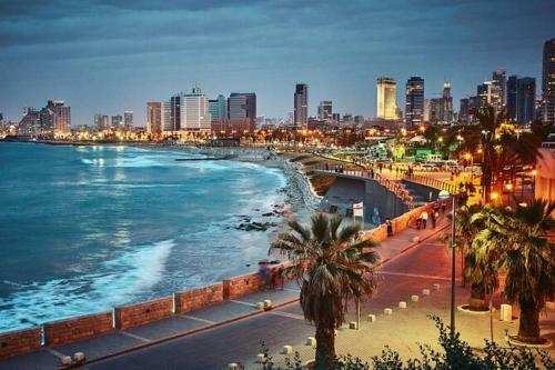Beautiful Apartment In Tel Aviv