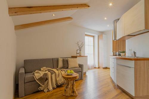 Apartment Dolomites Nest