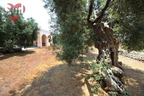 Villa La Cupa - Torre Vado