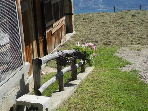 Apartamento Agriturismo Piccolo Paradiso