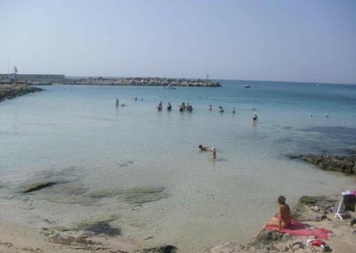 Apartamento Trilo Torre Vado