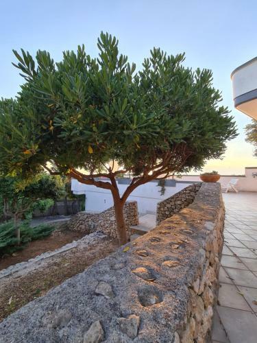 Villa Panoramica Mare Nella Natura